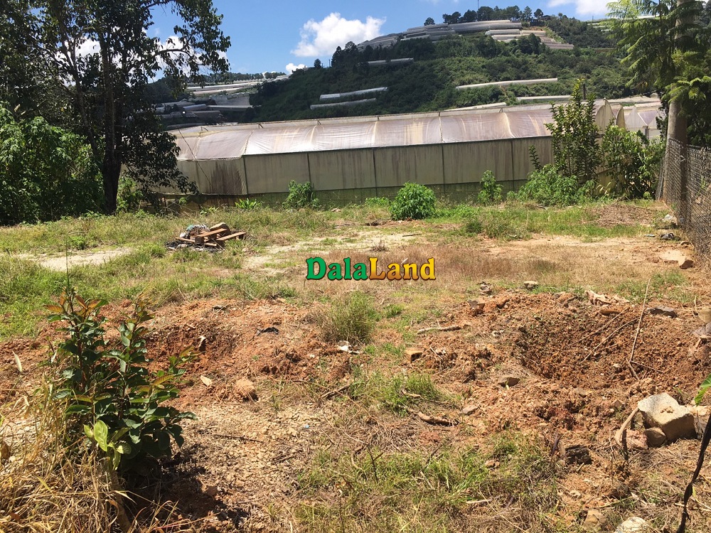 Bán lô đất giá rẻ tại đường Cam Ly, thôn Măng Lin, P. 7