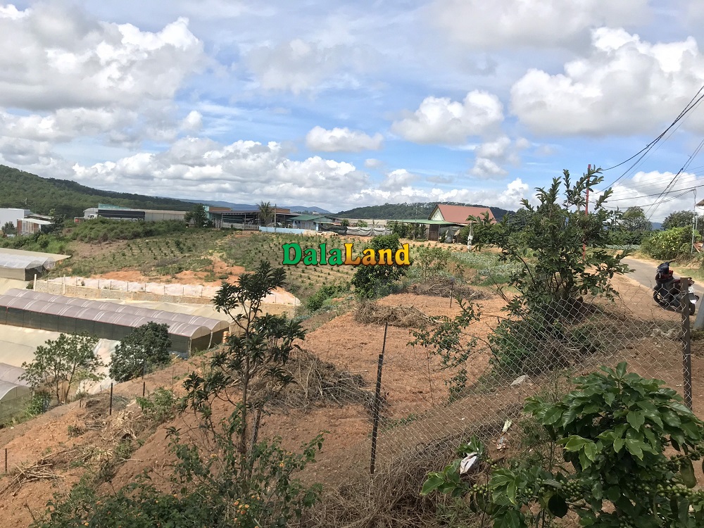 Bán đất giá rẻ mặt tiền Đa Lộc – xã Xuân Thọ