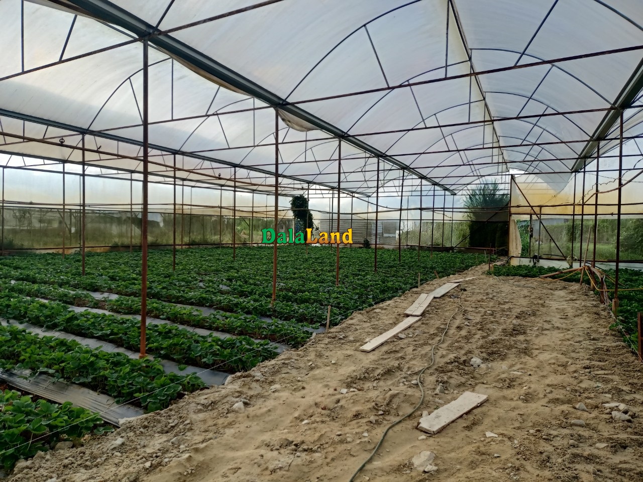 Bán đất đẹp đường Trạng Trình, P. 9