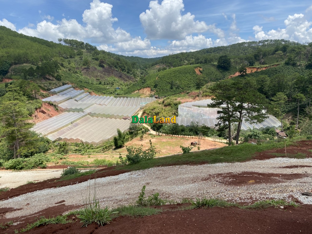 Bán đất đẹp khu Măng Lin, P. 7, Đà Lạt