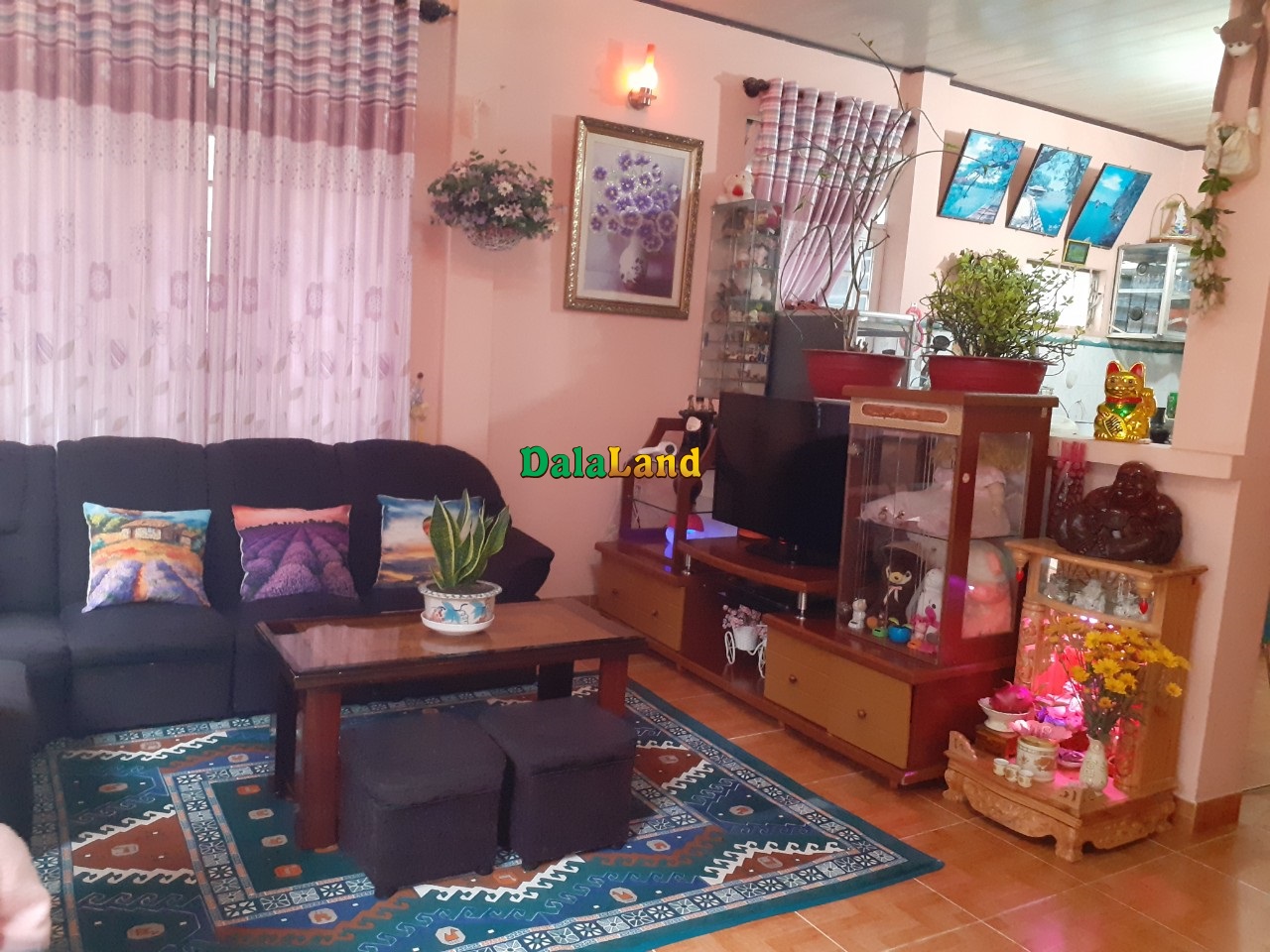 Bán nhà đường Nguyễn Đình Chiểu, P. 9, Đà Lạt