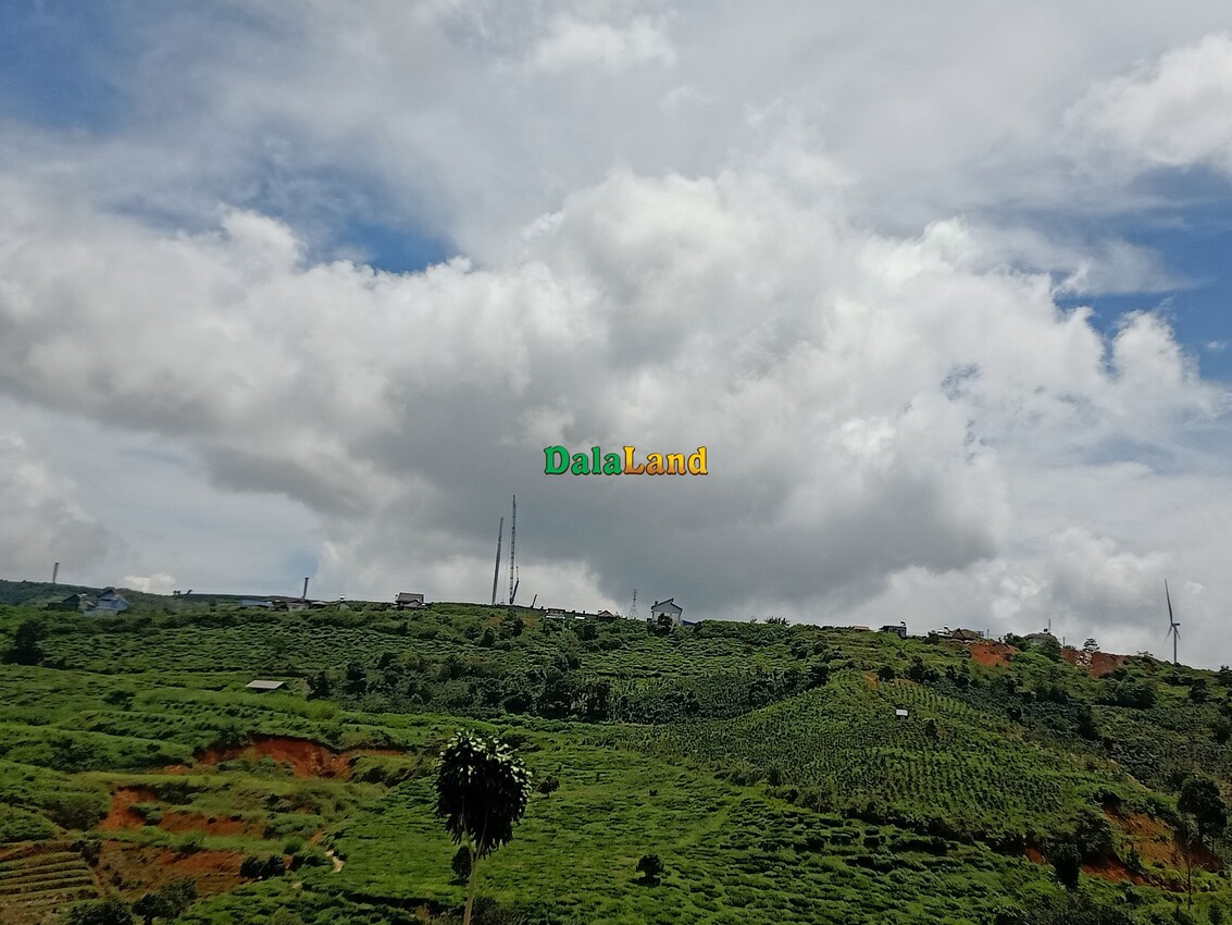 Đất view đẹp xã Xuân Trường – Thành phố Đà Lạt