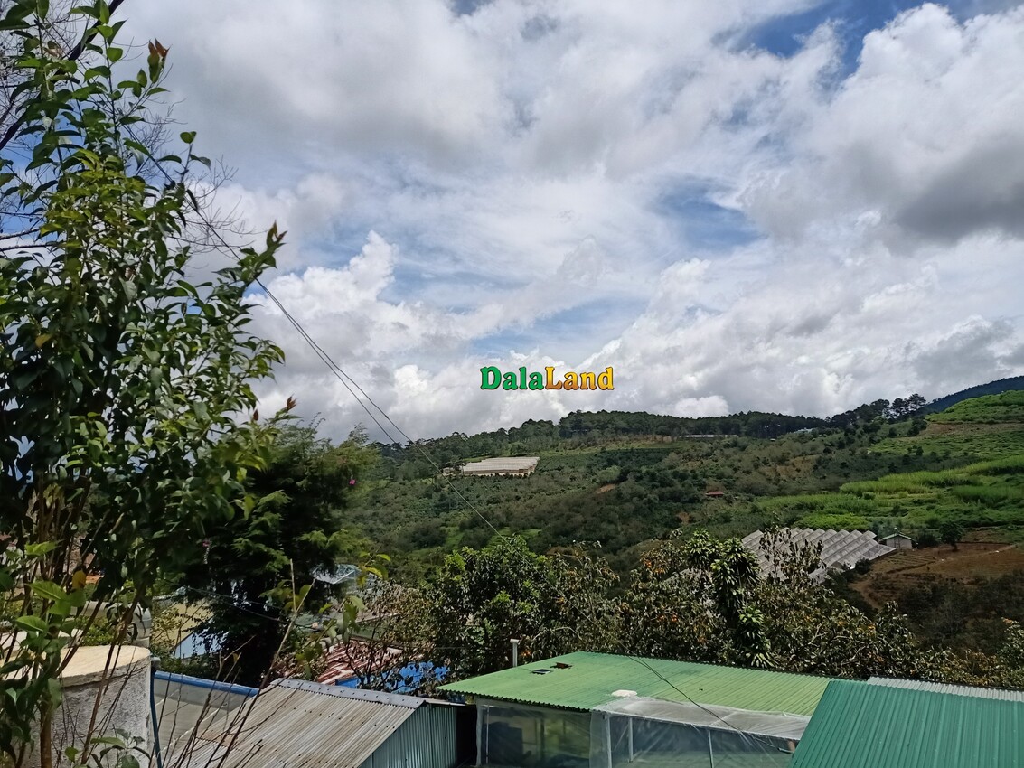 Đất đẹp view quạt gió – Xã Xuân Trường – Tp.Đà Lạt