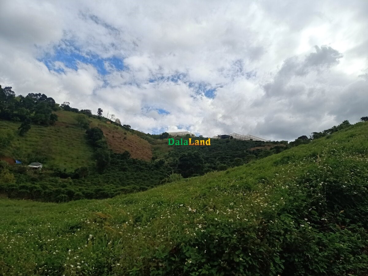Đất đầu tư giá tốt, xã Tà Nung – Thành phố Đà Lạt