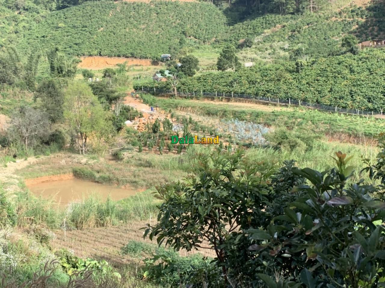Đất view đẹp xã Tà Nung cực hot – Thành phố Đà Lạt